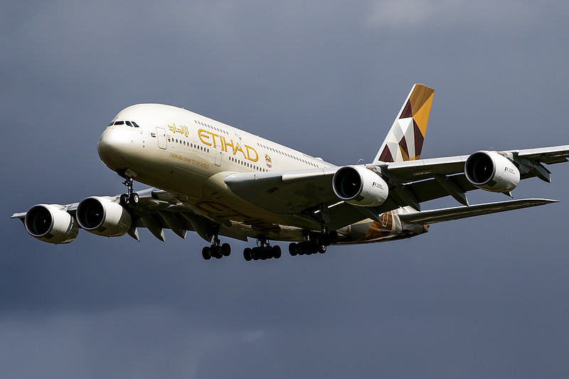 中国大连到罗利的狗零食采用标准空运8天配送到 中国大连到罗利的狗零食采用标准空运8天配送到