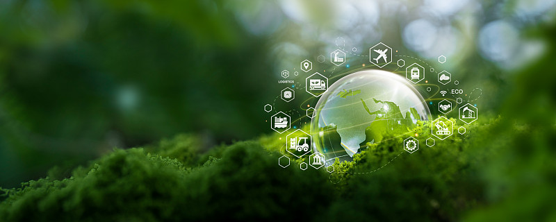 宠物梳子采取成都飞机运输送到堪萨斯城 宠物梳子采取成都飞机运输送到堪萨斯城