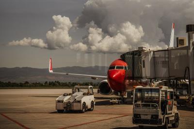 中国合肥至巴尔的摩的剪纸窗花采用普货空运15天送达