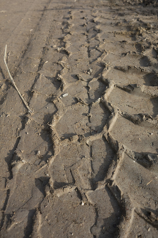 香枝木通过中国武汉国际多式联运运到哥伦布