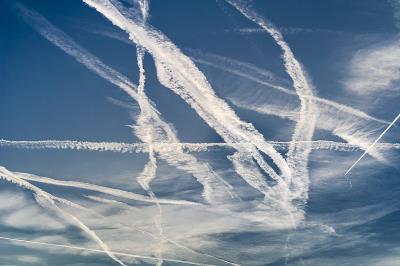 中国石河子到安克雷奇(Anchorage)的饲料使用经济空运3天内速递到