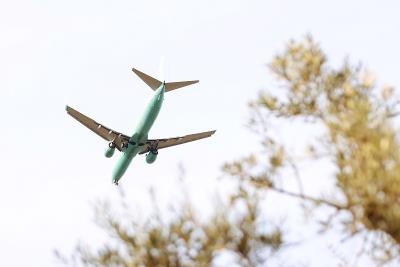 西宁汤圆粉采用航空货运8天送到美国圣彼得斯堡(St.Petersburg)