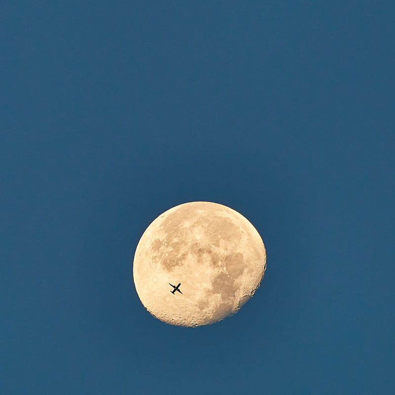 梳子采纳中国长沙飞机运输配送到美国科珀斯克里斯蒂(CorpusChristi)