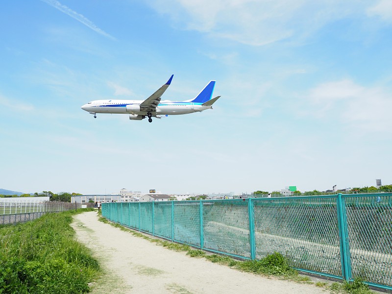 桂花糕采用中国天津跨境海空联运送到杰克逊维尔