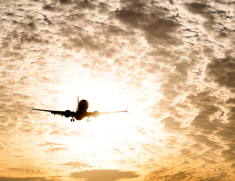 絮胎采取中国深圳集装箱运输递送到巴拿马城