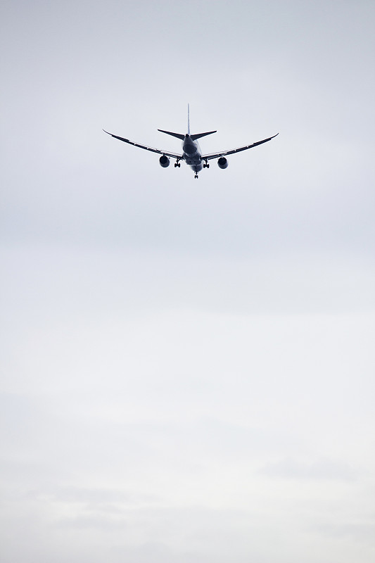 上海到洛杉矶的高粱使用标准空运4天内送到