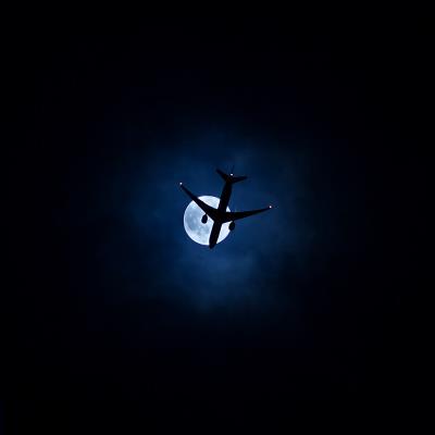 中国长沙到美国坦帕的料理机采用航空快递14天内送达