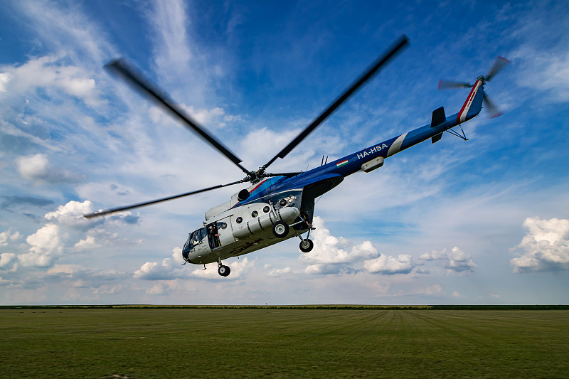 油棕果及油棕仁借用大连海运送达底特律(Detroit)