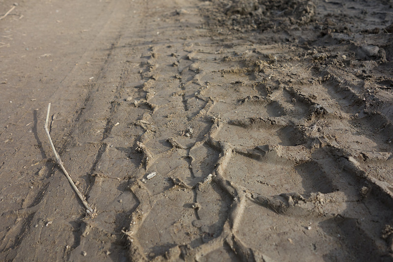 预制舱式变电站广州海上运输高效送达美国纳什维尔 预制舱式变电站广州海上运输高效送达美国纳什维尔