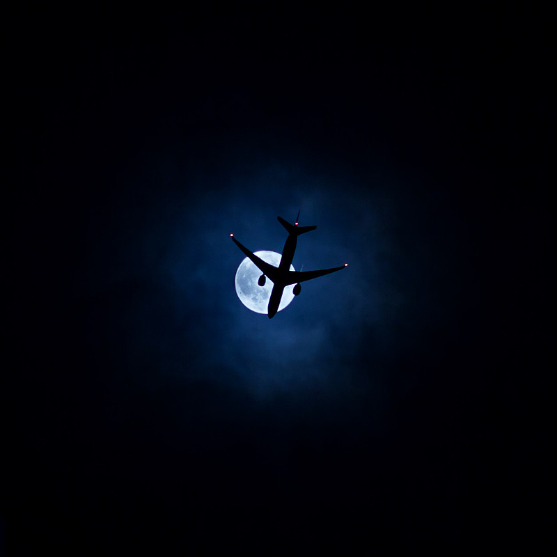 中国长沙到美国坦帕的料理机采用航空快递14天内送达 中国长沙到美国坦帕的料理机采用航空快递14天内送达