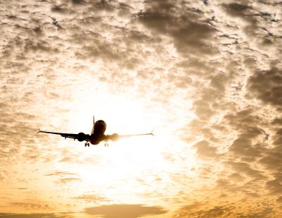 絮胎采取中国深圳集装箱运输递送到巴拿马城