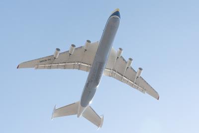 中国南京汽车装饰品（车贴、摆件、挂饰）使用航空运输4天内速递到美国坦帕(Tampa)