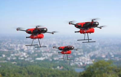 重阳茱萸囊借用中国西安跨境联运送达里诺(Reno)