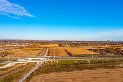 义乌红酸枝木采用国际快递13天内配送到美国印第安纳波利斯(Indianapolis)