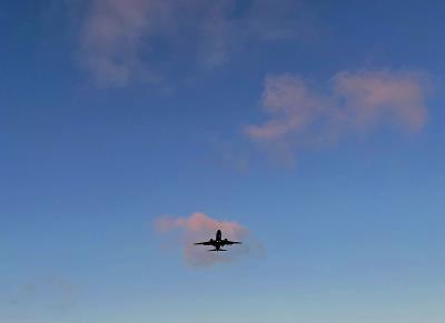 药膏采纳西安拼货空运送到美国底特律(Detroit)