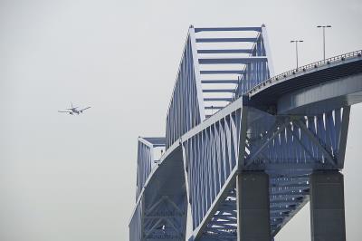 白云山板蓝根采取石河子空运派送送到美国苏福尔斯