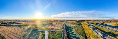 中国哈尔滨火烈鸟睫毛膏采用国际海空联运14天送达美国爱达荷福尔斯