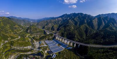木片材借用中国深圳船运准时送达彭萨科拉(Pensacola)