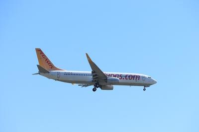 铝材利用连云港海上运输送抵达拉斯(Dallas)