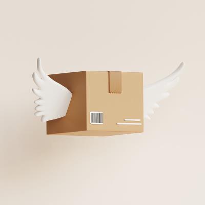 上海到美国塞勒姆(Salem)的瘦脸面膜采用标准空运12天配送到