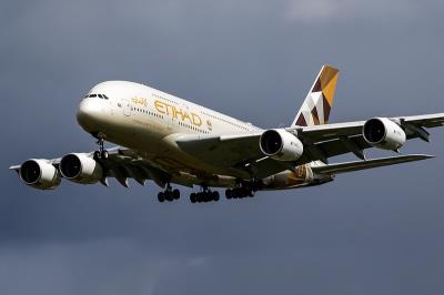 中国大连到罗利的狗零食采用标准空运8天配送到