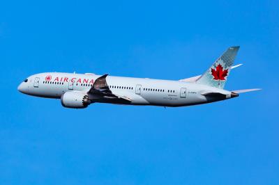 中国重庆至博伊西的绿萝水培套装采用优先空运15天配送到