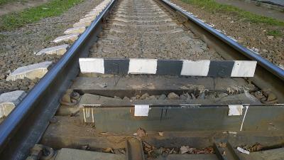 机器应用宁波LCL海运配达古滕贝格