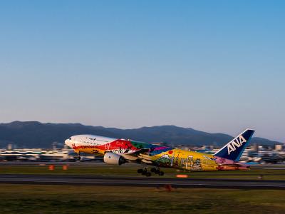 敦煌古筝琴弦借用上海普货空运速递到美国苏福尔斯