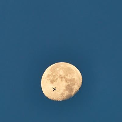 梳子采纳中国长沙飞机运输配送到美国科珀斯克里斯蒂(CorpusChristi)