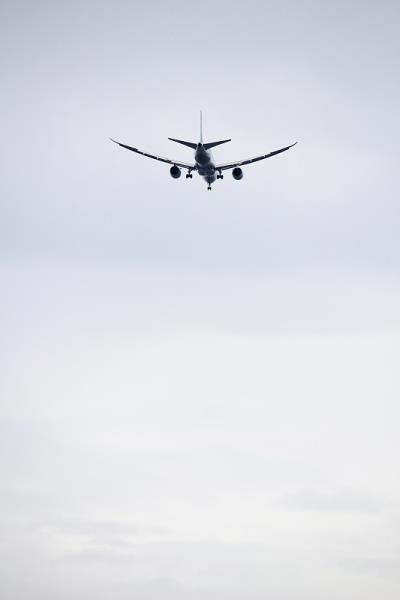 上海到洛杉矶的高粱使用标准空运4天内送到