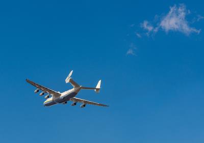 挪威云杉采纳中国广州门到门海运送达美国迈阿密