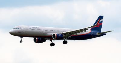 杭州北美花旗松使用空运派送5天内配送到朴茨茅斯