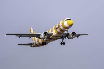 中国杭州到查尔斯顿(Charleston)的金庸全集使用优先空运11天速递到
