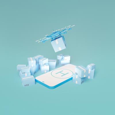 中国大连汤圆粉采用国际空运8天送达底特律