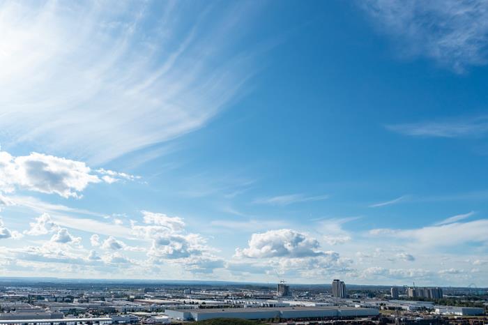 钦州市苏飞洋物流有限公司