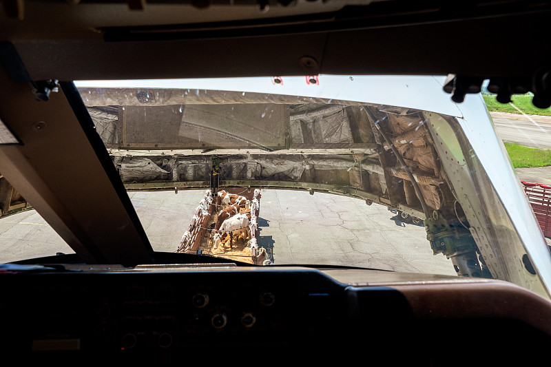 乌审旗万晟源物流有限公司