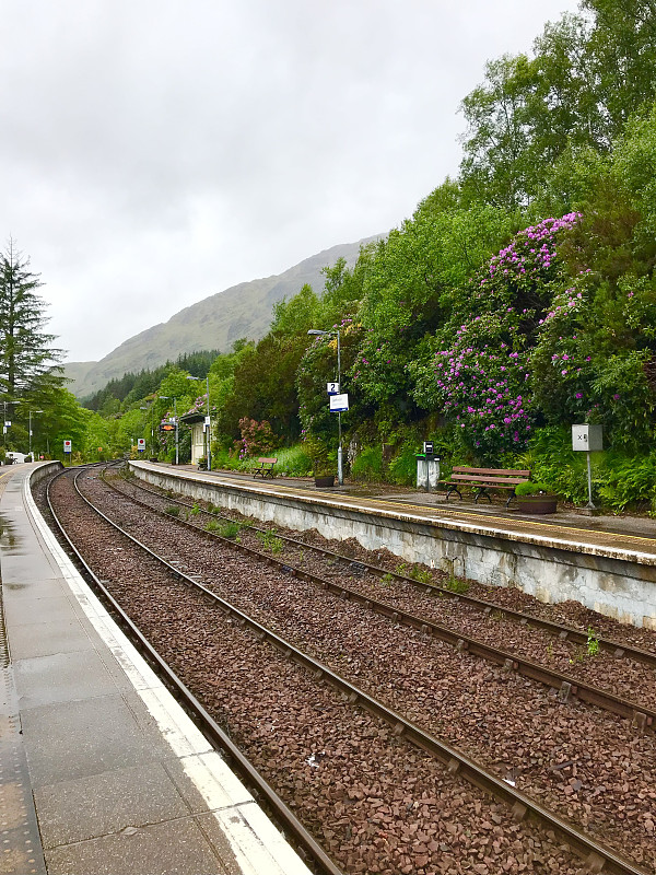 深圳市金源顺物流有限公司 深圳市金源顺物流有限公司