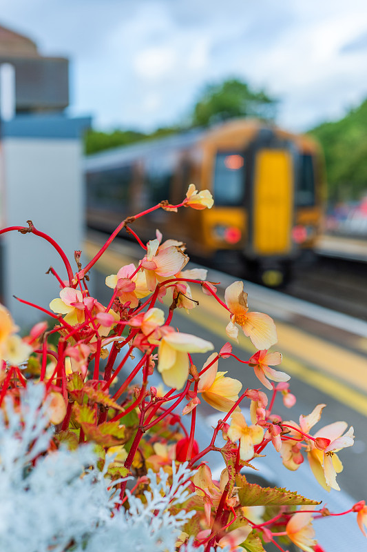上海侨威国际物流有限公司