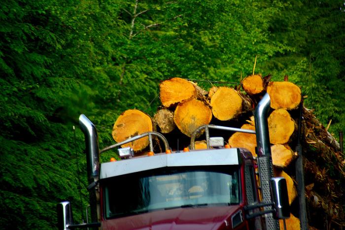 深圳市捷运诚物流有限公司