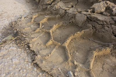 广州海鹏物流有限公司