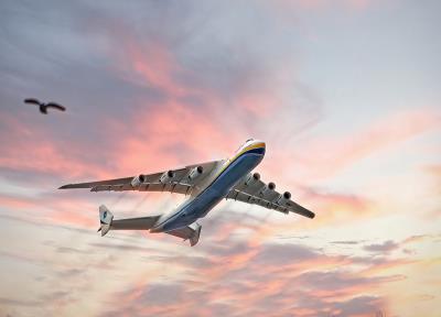 深圳市蓝胖子国际物流有限公司