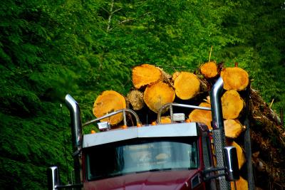 深圳市捷运诚物流有限公司