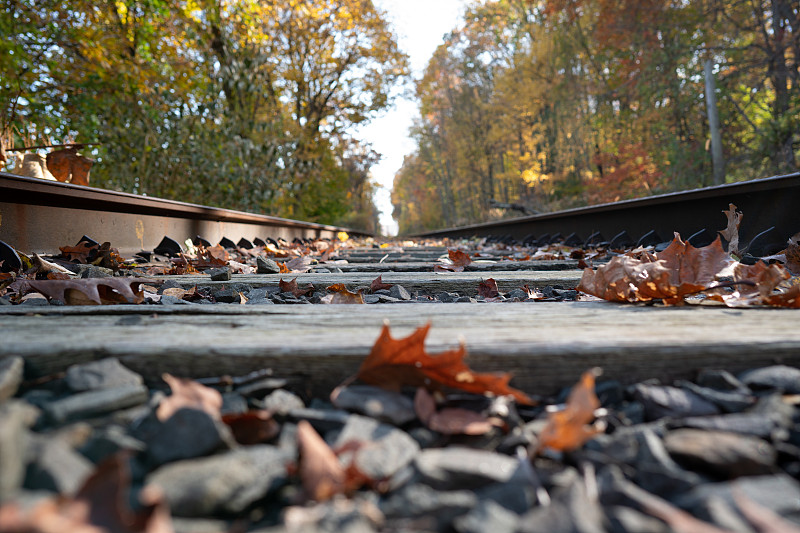 TikTok Shop的自发货服务是什么，TikTok Shop自发货物流服务要求有哪些