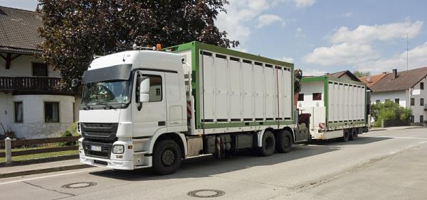 >倒闭潮凶猛！大批货代一夜消失