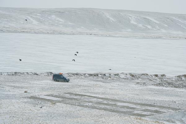 轻小件计划vs标准FBA？如何选择最省钱的发货方式