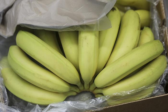 加拿大专线的物流公司