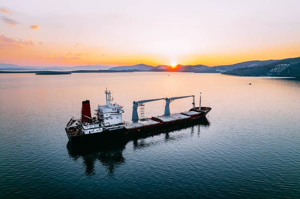 加拿大邮政包裹量“腰斩”，劳资纠纷成运营“绊脚石”