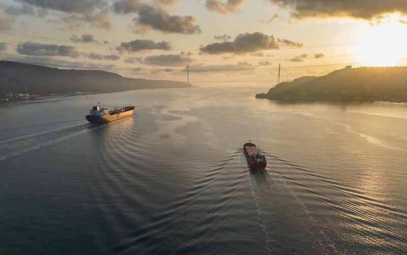 通过广州槟榔寄到加拿大汉密尔顿