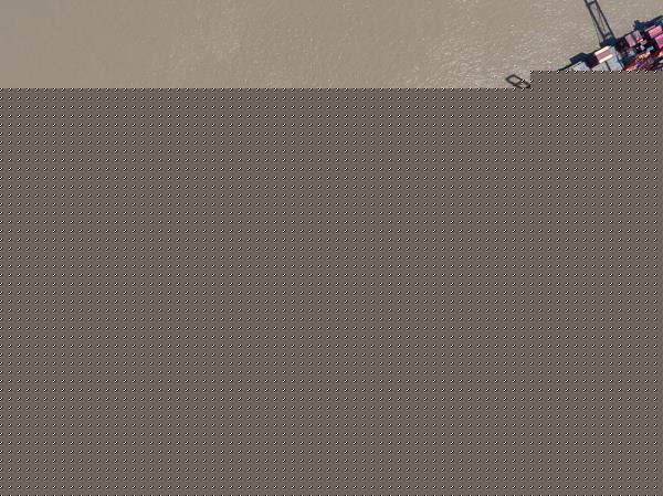 美国第一大海运货代再次裁员(国际海运市场供过于求)